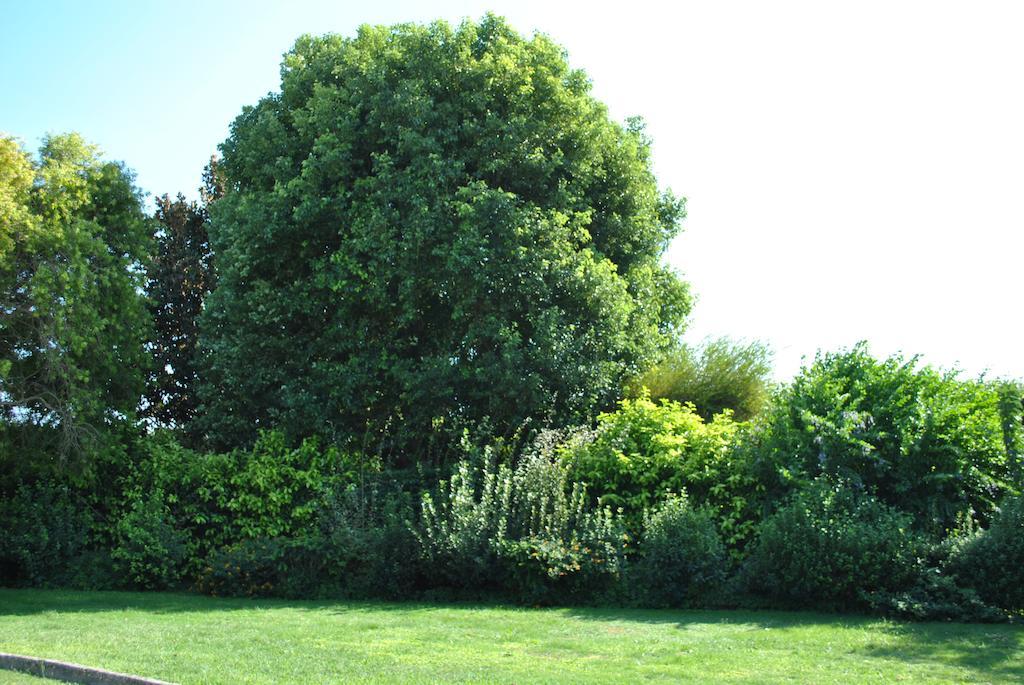 Chic & Country Bed and Breakfast Lecce Exteriör bild